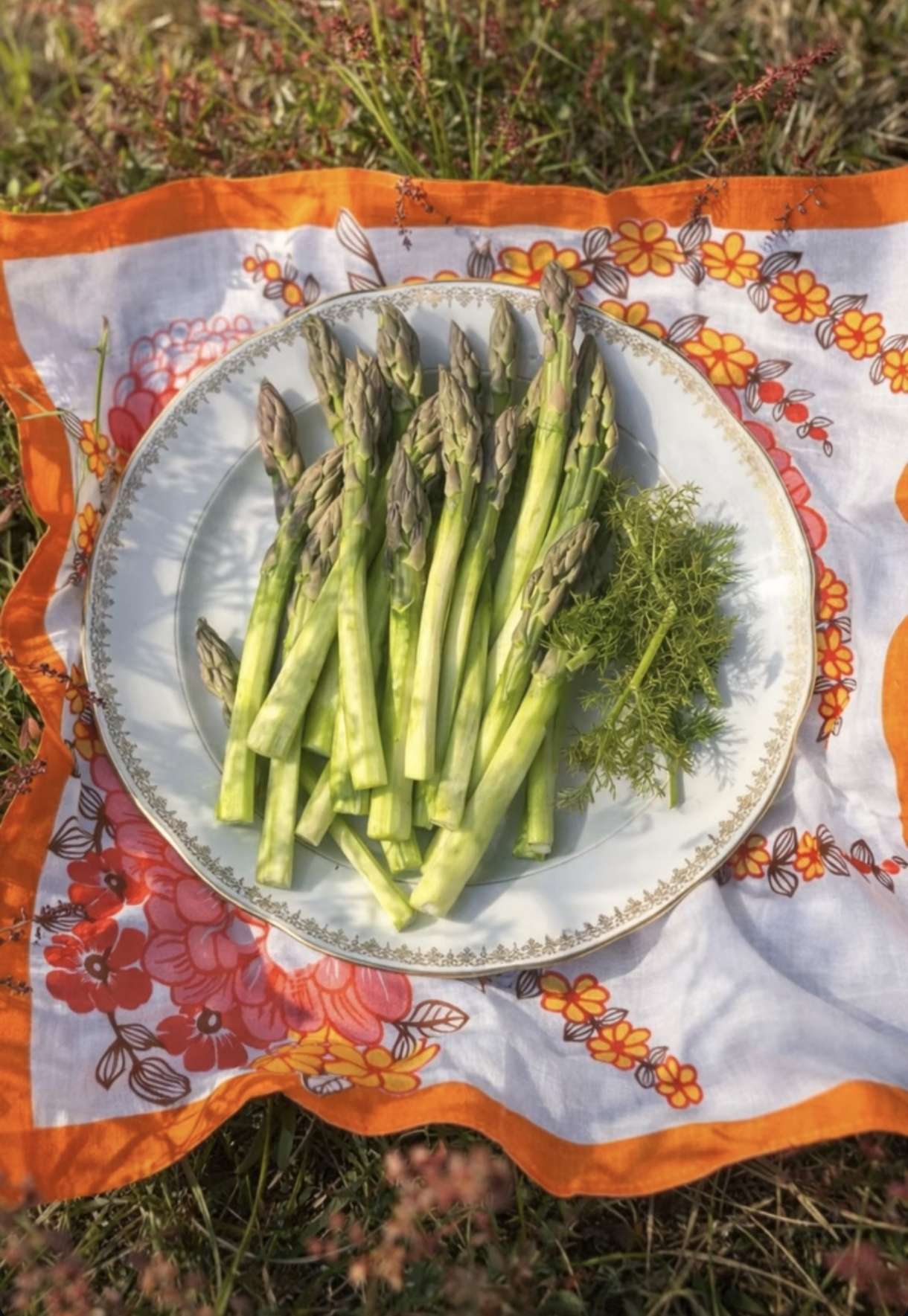 Cuisine de terroir beaujolais par le chef Allan Ozier
