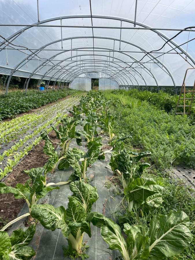 Plat signature — saveurs du Beaujolais